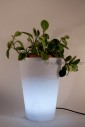 Portafiori LED Dış Mekan Işıklı Saksı - Thumbnail